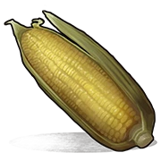 Кукуруза